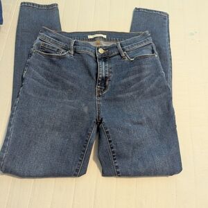 Pacsun Classic Blue Denim Jeggings